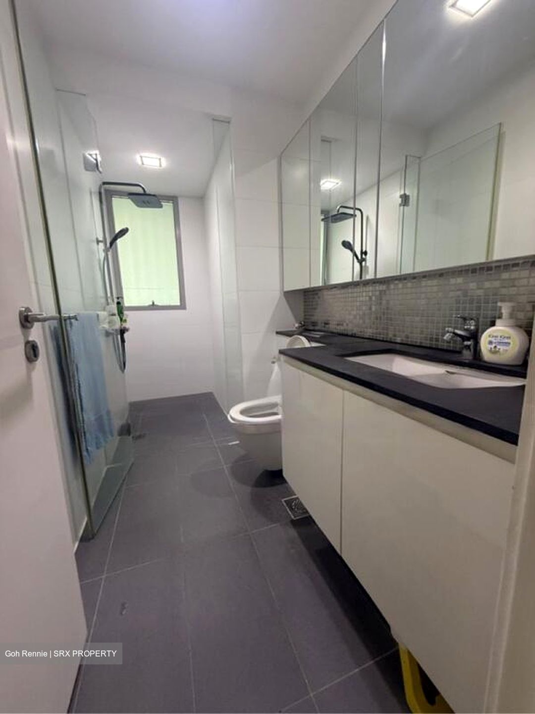 The Minton (D19), Condominium #479892021